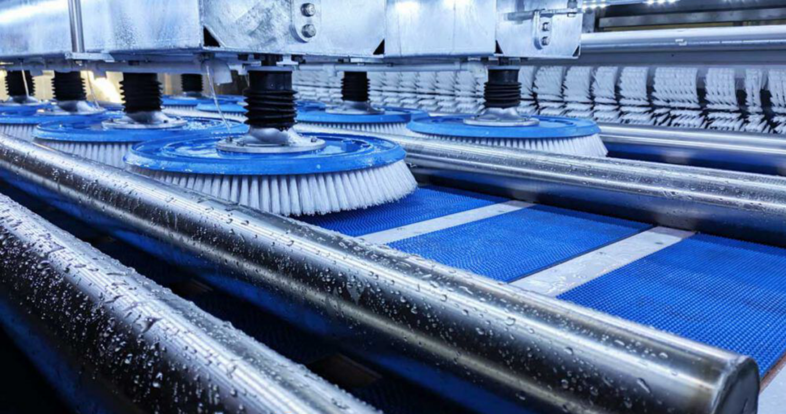 Profesyonel Halı Yıkama