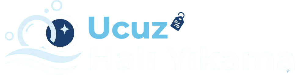 Ucuz Halı Yıkama | İstanbul Profesyonel Halı Yıkama Hizmeti